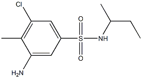  3-amino-N-(butan-2-yl)-5-chloro-4-methylbenzene-1-sulfonamide