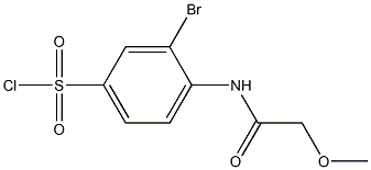 3-bromo-4-(2-methoxyacetamido)benzene-1-sulfonyl chloride,,结构式