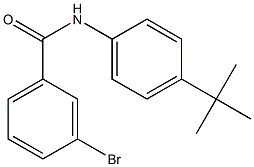 3-bromo-N-(4-tert-butylphenyl)benzamide 结构式