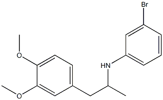 3-bromo-N-[1-(3,4-dimethoxyphenyl)propan-2-yl]aniline 化学構造式