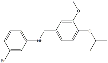 3-bromo-N-{[3-methoxy-4-(propan-2-yloxy)phenyl]methyl}aniline 化学構造式