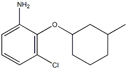 3-chloro-2-[(3-methylcyclohexyl)oxy]aniline,,结构式