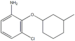  3-chloro-2-[(3-methylcyclohexyl)oxy]aniline