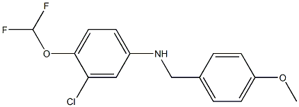 3-chloro-4-(difluoromethoxy)-N-[(4-methoxyphenyl)methyl]aniline 化学構造式