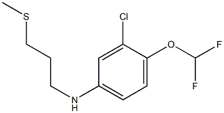 3-chloro-4-(difluoromethoxy)-N-[3-(methylsulfanyl)propyl]aniline Struktur