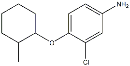  3-chloro-4-[(2-methylcyclohexyl)oxy]aniline