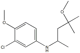 3-chloro-4-methoxy-N-(4-methoxy-4-methylpentan-2-yl)aniline 化学構造式