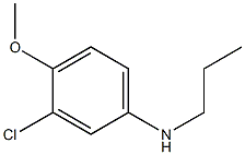 3-chloro-4-methoxy-N-propylaniline Structure