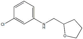 3-chloro-N-(oxolan-2-ylmethyl)aniline Struktur