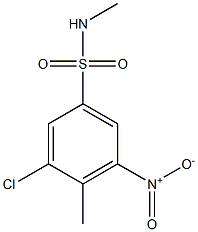 3-chloro-N,4-dimethyl-5-nitrobenzene-1-sulfonamide,,结构式