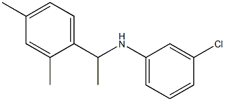 3-chloro-N-[1-(2,4-dimethylphenyl)ethyl]aniline 化学構造式