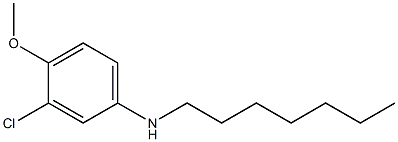 3-chloro-N-heptyl-4-methoxyaniline Structure