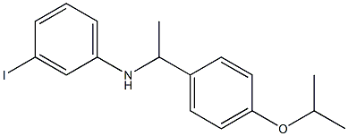 3-iodo-N-{1-[4-(propan-2-yloxy)phenyl]ethyl}aniline,,结构式