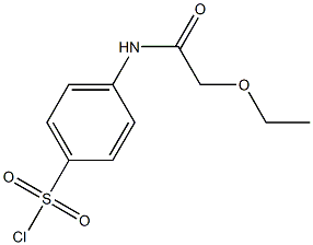 4-(2-ethoxyacetamido)benzene-1-sulfonyl chloride 结构式