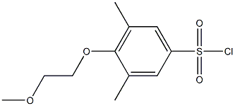 4-(2-methoxyethoxy)-3,5-dimethylbenzene-1-sulfonyl chloride