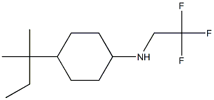 4-(2-methylbutan-2-yl)-N-(2,2,2-trifluoroethyl)cyclohexan-1-amine|