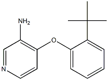 4-(2-tert-butylphenoxy)pyridin-3-amine,,结构式
