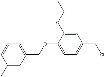 4-(chloromethyl)-2-ethoxy-1-[(3-methylphenyl)methoxy]benzene