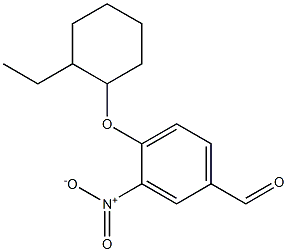4-[(2-ethylcyclohexyl)oxy]-3-nitrobenzaldehyde,,结构式