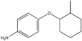 4-[(2-methylcyclohexyl)oxy]aniline Structure