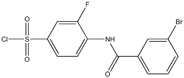 4-[(3-bromobenzene)amido]-3-fluorobenzene-1-sulfonyl chloride