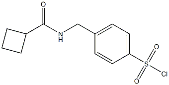 4-{[(cyclobutylcarbonyl)amino]methyl}benzenesulfonyl chloride,,结构式