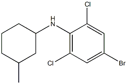 4-bromo-2,6-dichloro-N-(3-methylcyclohexyl)aniline,,结构式