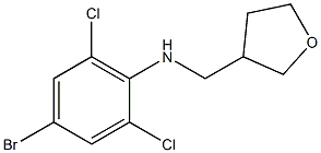 4-bromo-2,6-dichloro-N-(oxolan-3-ylmethyl)aniline Structure