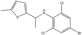 4-bromo-2,6-dichloro-N-[1-(5-methylthiophen-2-yl)ethyl]aniline Structure