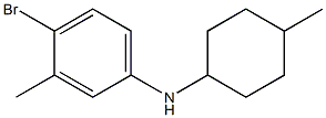 4-bromo-3-methyl-N-(4-methylcyclohexyl)aniline Structure