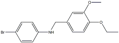 4-bromo-N-[(4-ethoxy-3-methoxyphenyl)methyl]aniline,,结构式