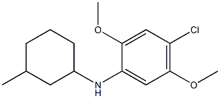 4-chloro-2,5-dimethoxy-N-(3-methylcyclohexyl)aniline