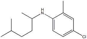 4-chloro-2-methyl-N-(5-methylhexan-2-yl)aniline