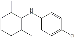 4-chloro-N-(2,6-dimethylcyclohexyl)aniline