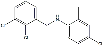 4-chloro-N-[(2,3-dichlorophenyl)methyl]-2-methylaniline,,结构式