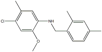 4-chloro-N-[(2,4-dimethylphenyl)methyl]-2-methoxy-5-methylaniline 化学構造式