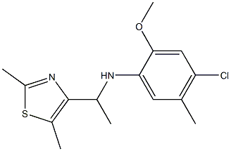 4-chloro-N-[1-(2,5-dimethyl-1,3-thiazol-4-yl)ethyl]-2-methoxy-5-methylaniline Structure