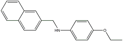 4-ethoxy-N-(naphthalen-2-ylmethyl)aniline Struktur