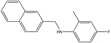 4-fluoro-2-methyl-N-(naphthalen-2-ylmethyl)aniline,,结构式