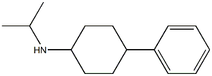 4-phenyl-N-(propan-2-yl)cyclohexan-1-amine|