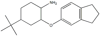 4-tert-butyl-2-(2,3-dihydro-1H-inden-5-yloxy)cyclohexan-1-amine Structure