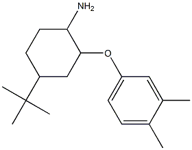 4-tert-butyl-2-(3,4-dimethylphenoxy)cyclohexan-1-amine 结构式