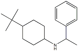 4-tert-butyl-N-(1-phenylethyl)cyclohexan-1-amine 化学構造式