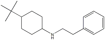 4-tert-butyl-N-(2-phenylethyl)cyclohexan-1-amine Struktur