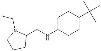 4-tert-butyl-N-[(1-ethylpyrrolidin-2-yl)methyl]cyclohexan-1-amine Struktur