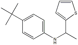 4-tert-butyl-N-[1-(thiophen-2-yl)ethyl]aniline Structure