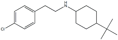 4-tert-butyl-N-[2-(4-chlorophenyl)ethyl]cyclohexan-1-amine Structure