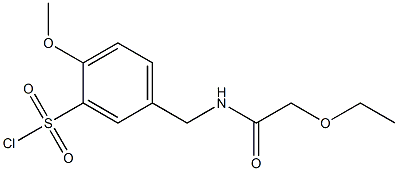 5-[(2-ethoxyacetamido)methyl]-2-methoxybenzene-1-sulfonyl chloride 化学構造式