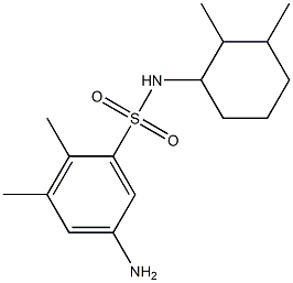 5-amino-N-(2,3-dimethylcyclohexyl)-2,3-dimethylbenzene-1-sulfonamide