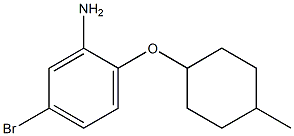 5-bromo-2-[(4-methylcyclohexyl)oxy]aniline Structure